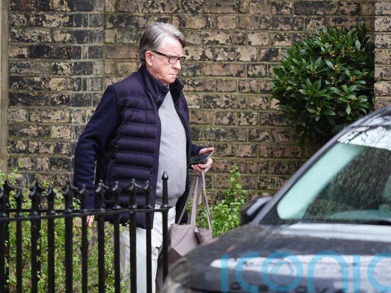 Lord Mandelson: Labour grandee brought down by ties to Epstein