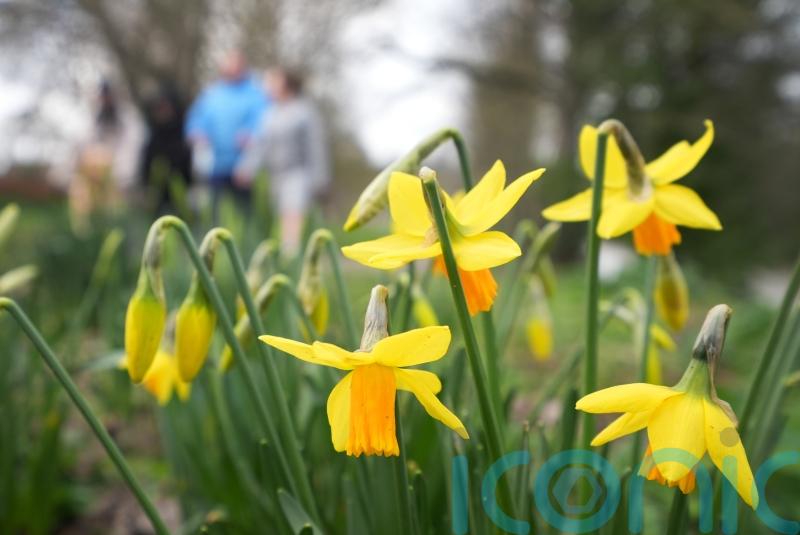 UK to enjoy spell of sunshine before cloudy skies return, Met Office says