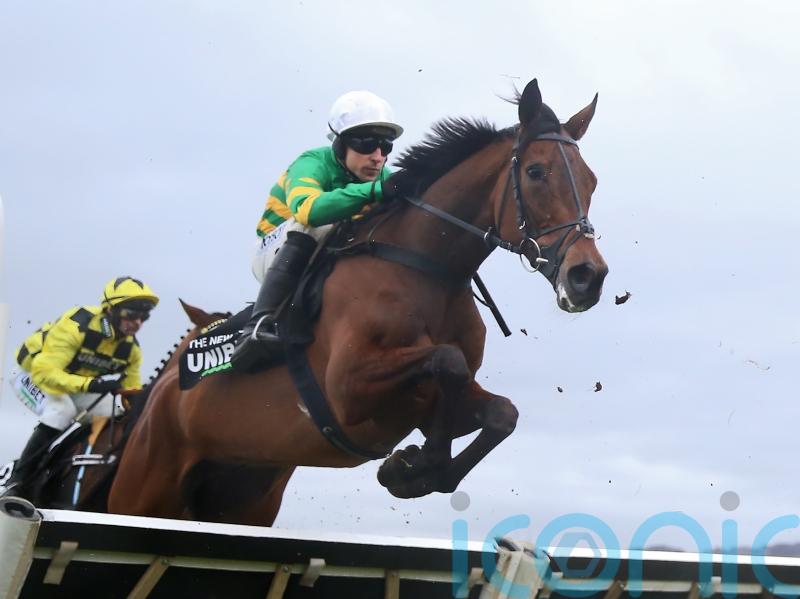Skelton believes The New Lion ticks all boxes to be a champion hurdler