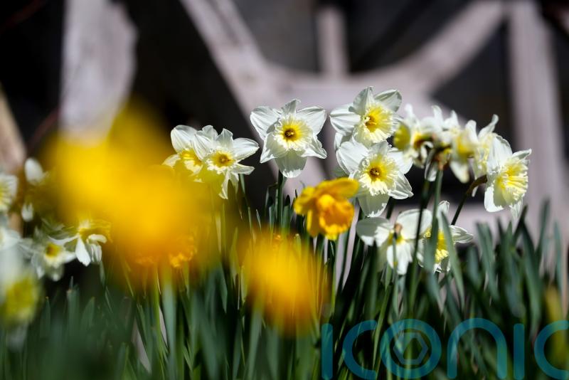 UK enjoys hottest day of the year before cloudy skies return, Met Office says