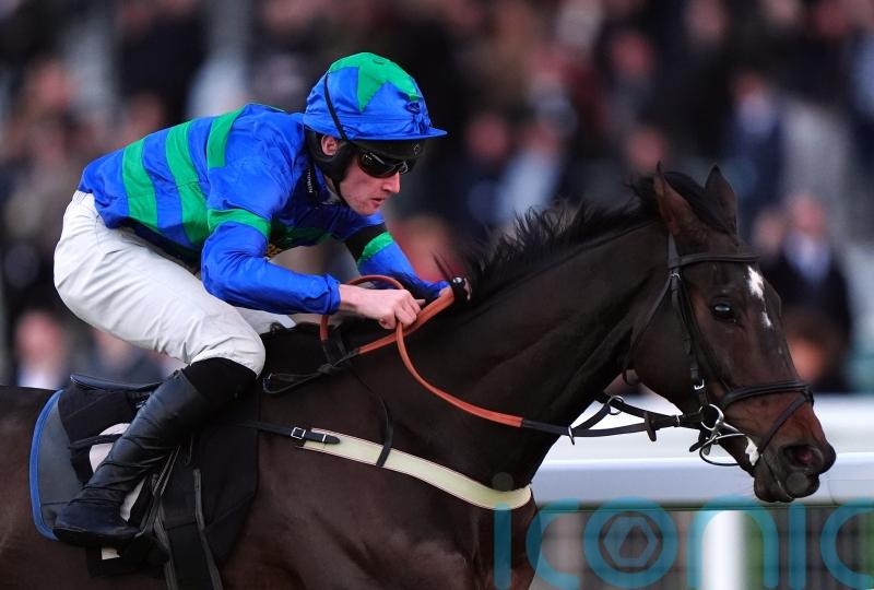 Bass Hunter all set for Champion Bumper bid