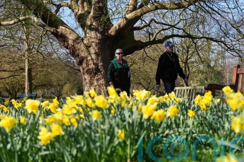 Sunny start to spring as temperatures expected to climb above average for some