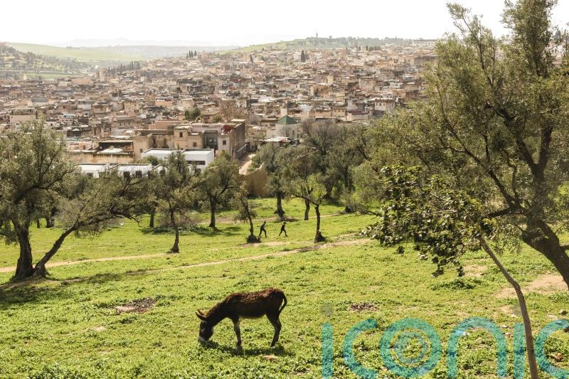 Discover Fes &ndash; Morocco&rsquo;s historic second city and Marrakech&rsquo;s less-visited alternative
