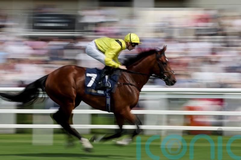 Meydaan given World Cup aim after Super Saturday success