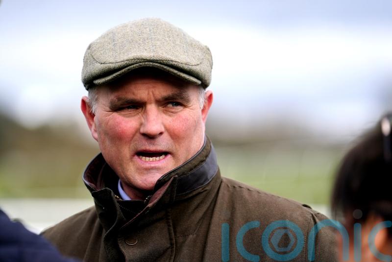 Evan Williams denies taking law into his own hands, court hears