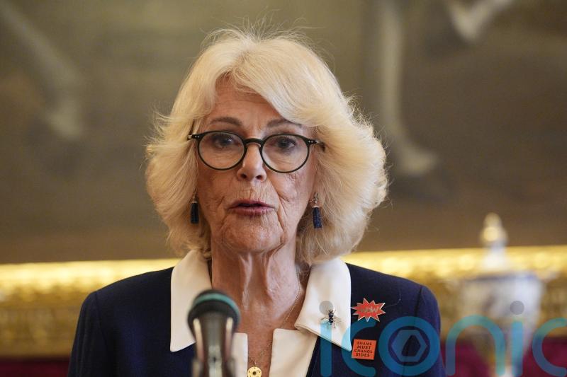 Camilla &lsquo;stands in solidarity&rsquo; with survivors of abuse and violence