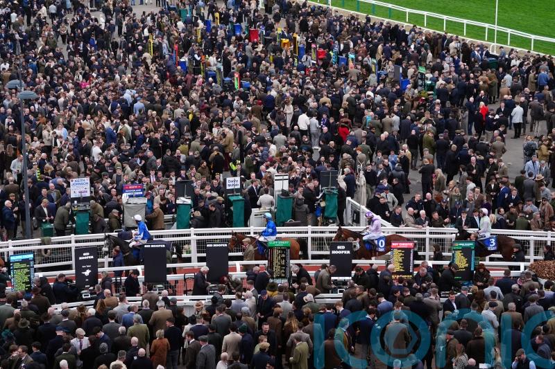 Cheltenham reaffirms safety commitment after fight footage