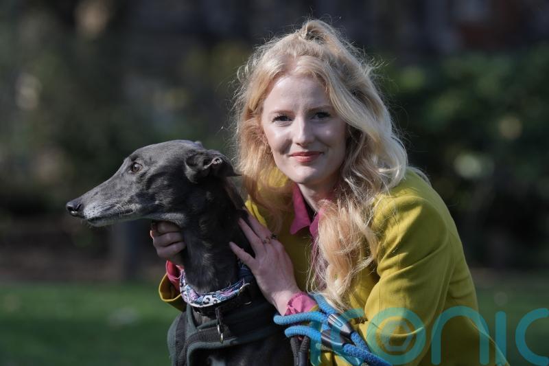 More plumbers and plasterers should become MPs says Green in maiden speech