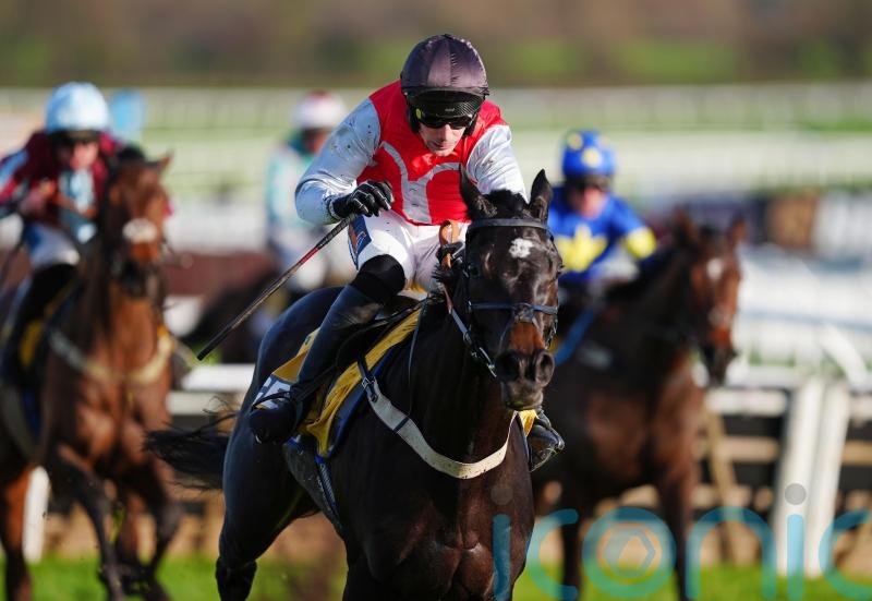 Nicol looking to Minella Study to pass Triumph test