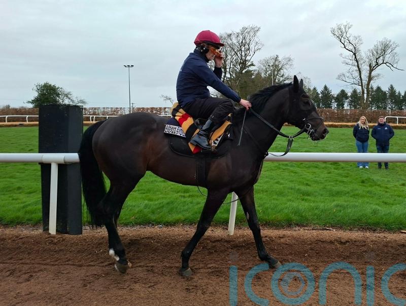 Albert Einstein the leading Guineas hope for Aidan O&rsquo;Brien