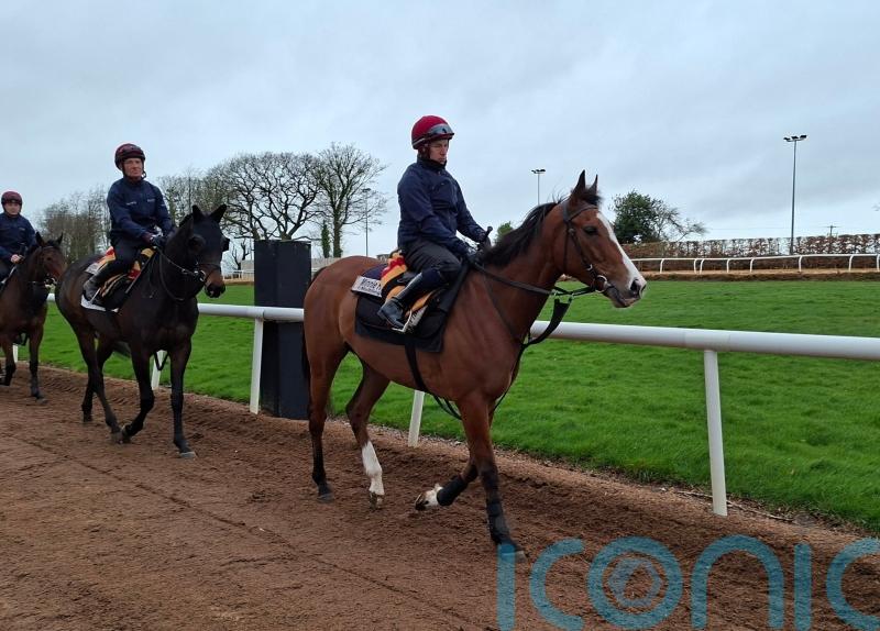 O&rsquo;Brien expecting Minnie Hauk to make her mark this year