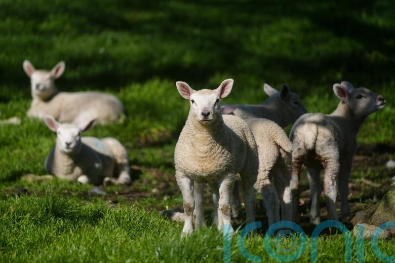 Temperatures peak on warmest day of the year so far