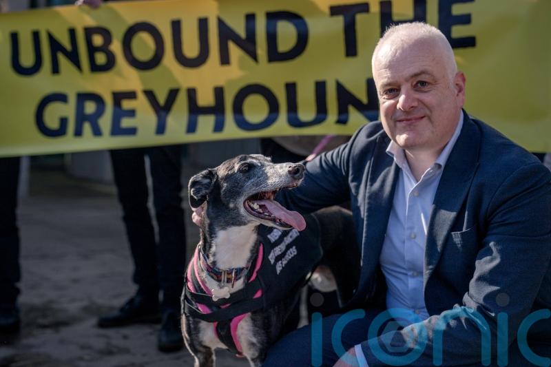 MSPs vote on greyhound racing ban a day after Senedd approves move