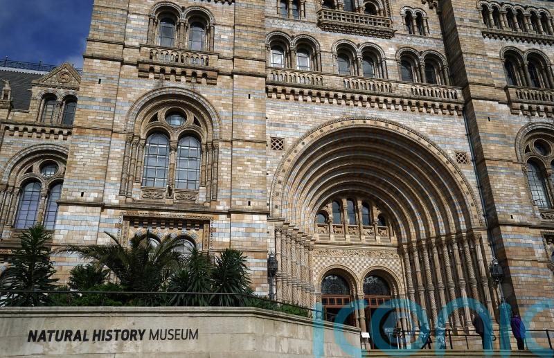 Natural History Museum becomes UK&rsquo;s top attraction for visits