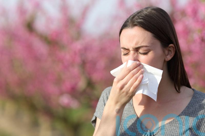 Home hacks for a sneeze-free space