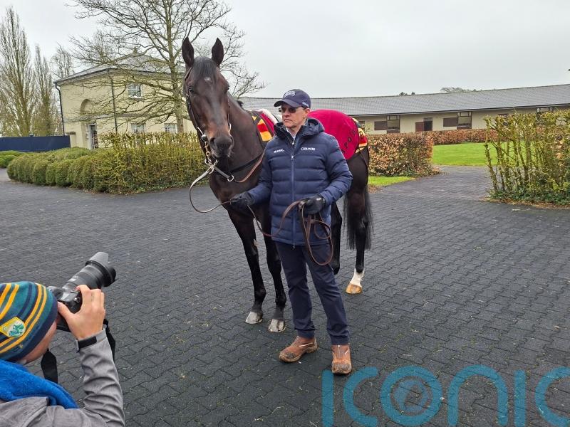 Albert Einstein ready for surprise return to action in Gladness Stakes at Curragh