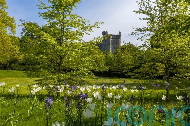 Why do the clocks go forward and what impact does it have on your health?
