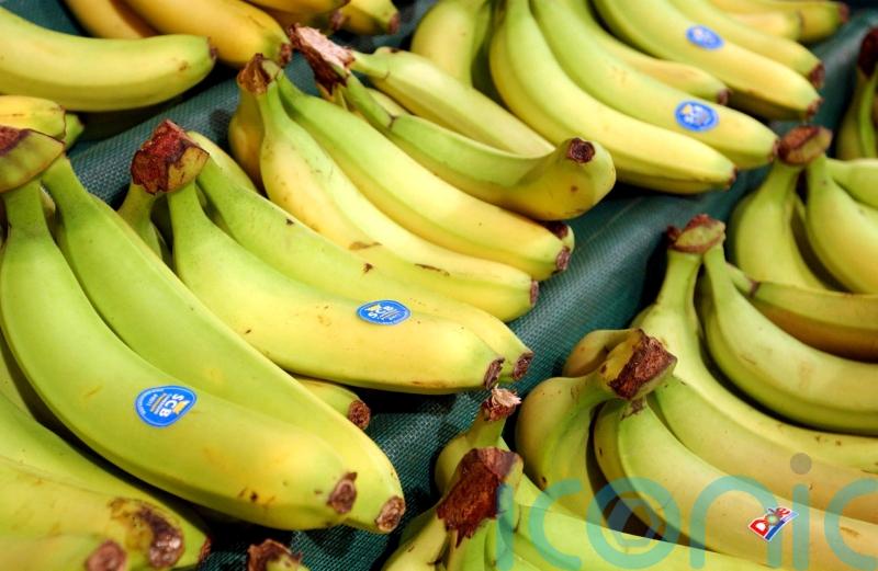 Supermarket gives out thousands of bananas for free after surplus order
