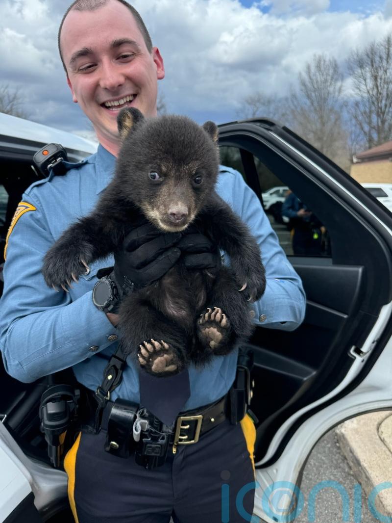 New Jersey state troopers rescue bear cub from roadside ditch