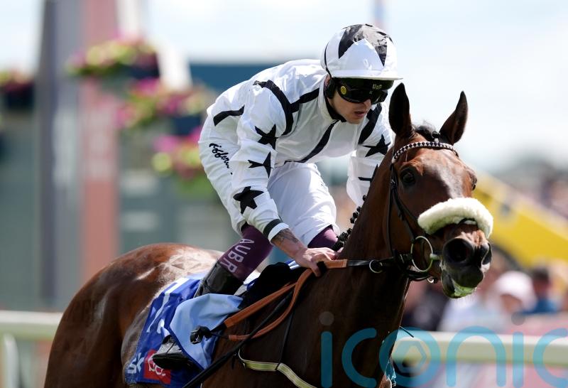 Clifford Lee back in business after Al Qareem&rsquo;s Goliath strike