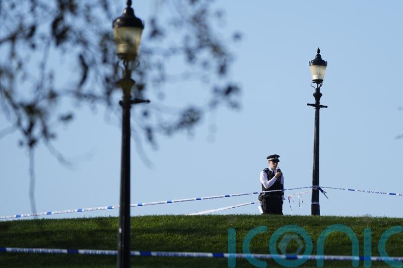 Man, 21, killed in Primrose Hill stabbing named by police