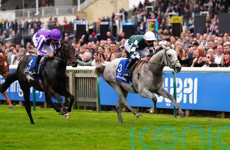 Guineas prospect Gewan fatally injured in racecourse gallop