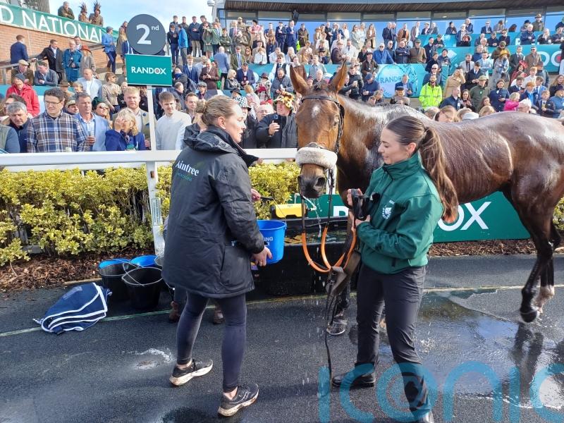 Iroko will get his day in the spotlight, insists Guerriero