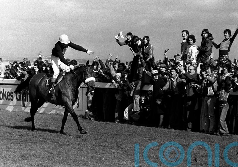 McCain: No reason I Am Maximus cannot make it three