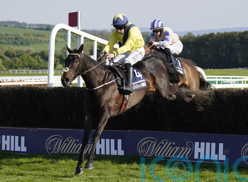 Marine Nationale among Punchestown entries