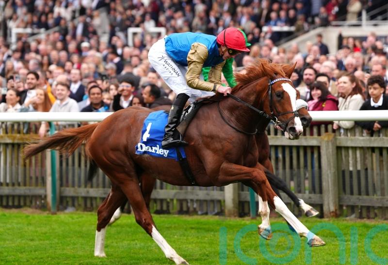 Damysus out to carry on where he left off in Earl of Sefton