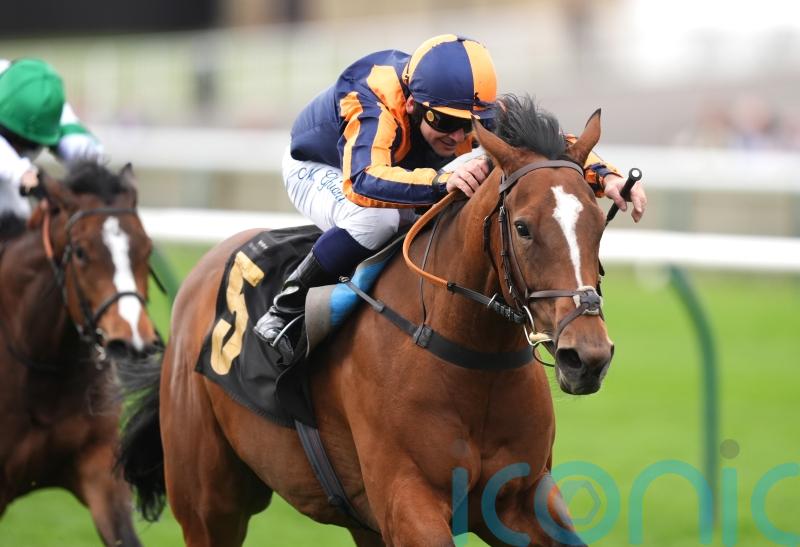 Azleet makes Classic case with 50-1 Nell Gwyn success