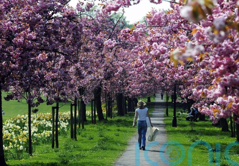 Hotspots where asking rents have surged revealed amid wider price standstill