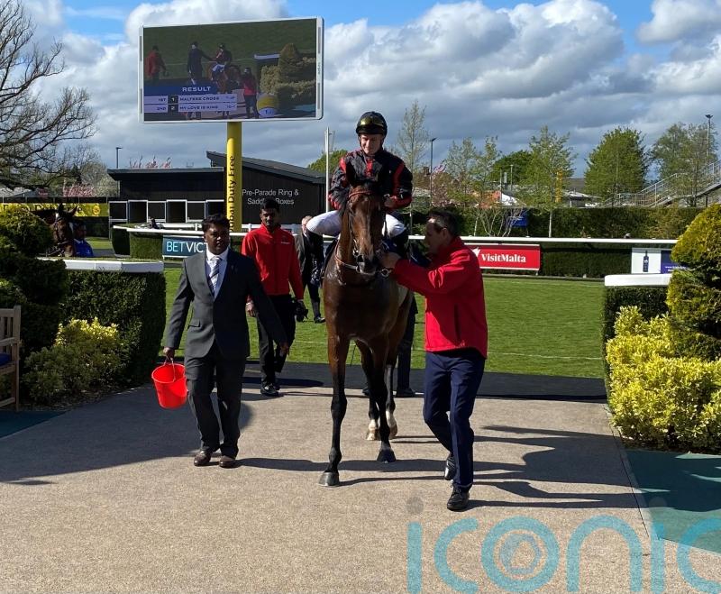 Derby trial next for Maltese Cross after game success