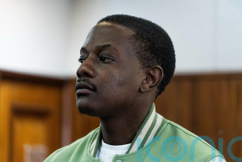 Mugabe&rsquo;s son admits pointing gun and breaking immigration laws in South Africa