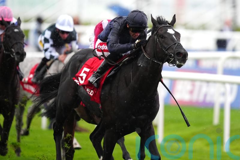 Puerto Rico likely the leading Guineas hope as O&rsquo;Brien pondering Albert Einstein plan