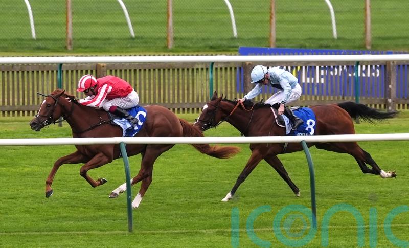 French foray awaits Zanthos as ParisLongchamp favoured over Newmarket