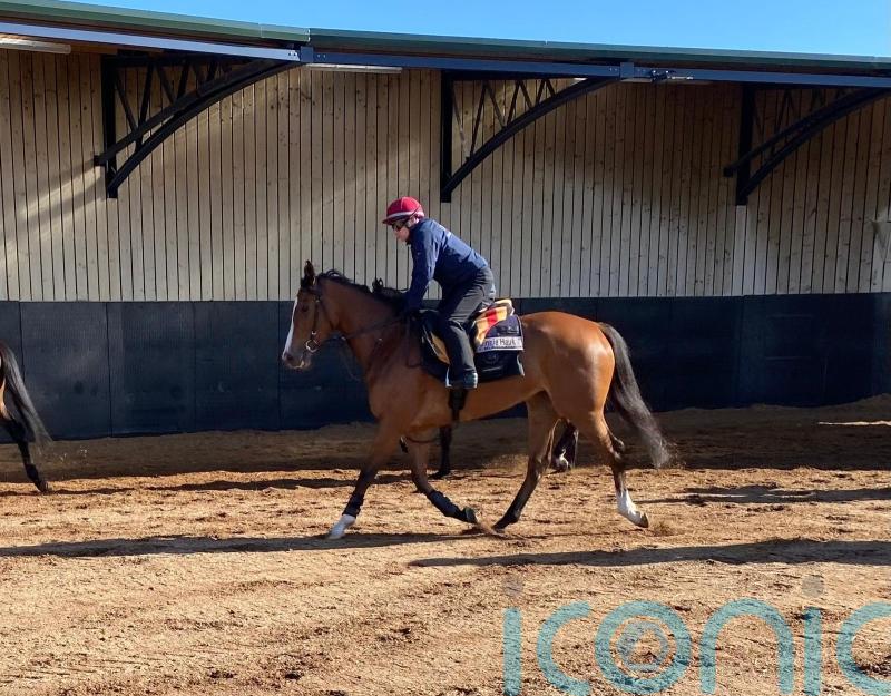 Minnie Hauk could return to action at Chester