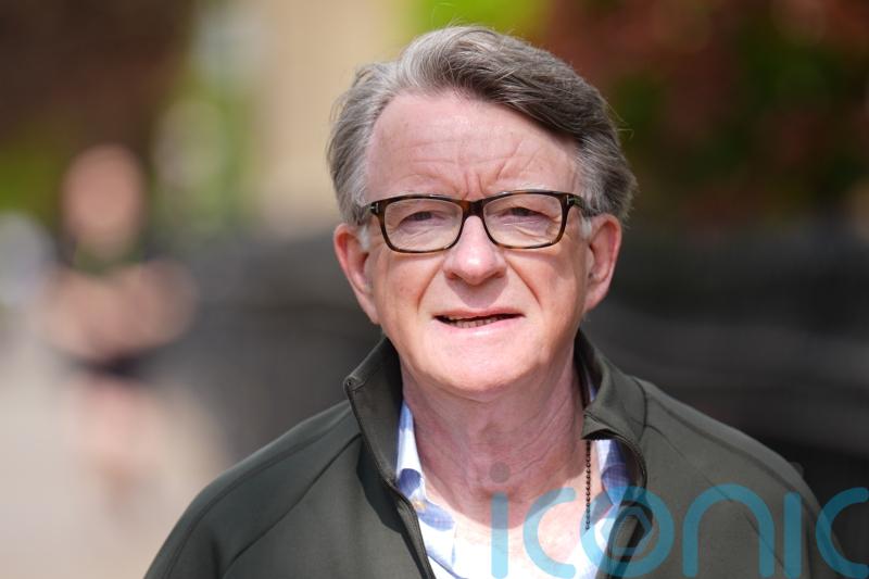 Inquiry under way into Lord Mandelson vetting leak, says No 10
