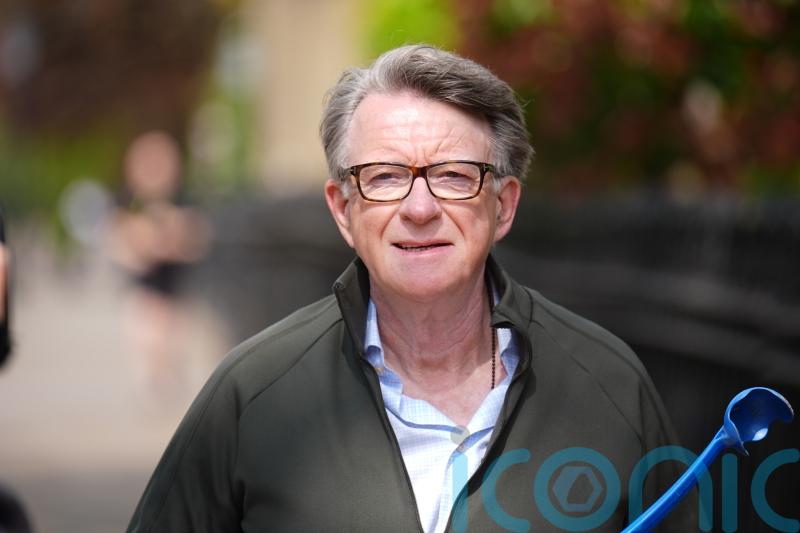 Inquiry under way into Lord Mandelson vetting leak, MPs told
