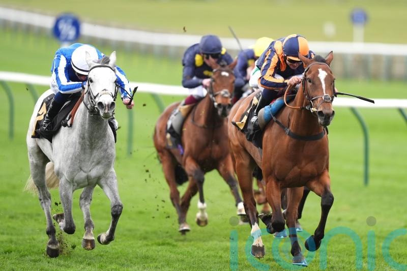 Connections convinced America Queen on the cusp of big-race glory