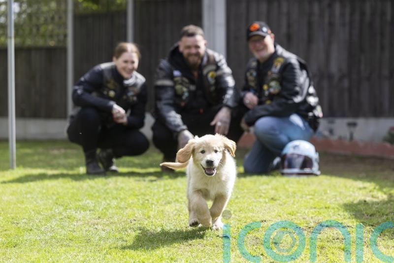 Bikers urged to volunteer to help train guide dog puppies for &lsquo;real world&rsquo;