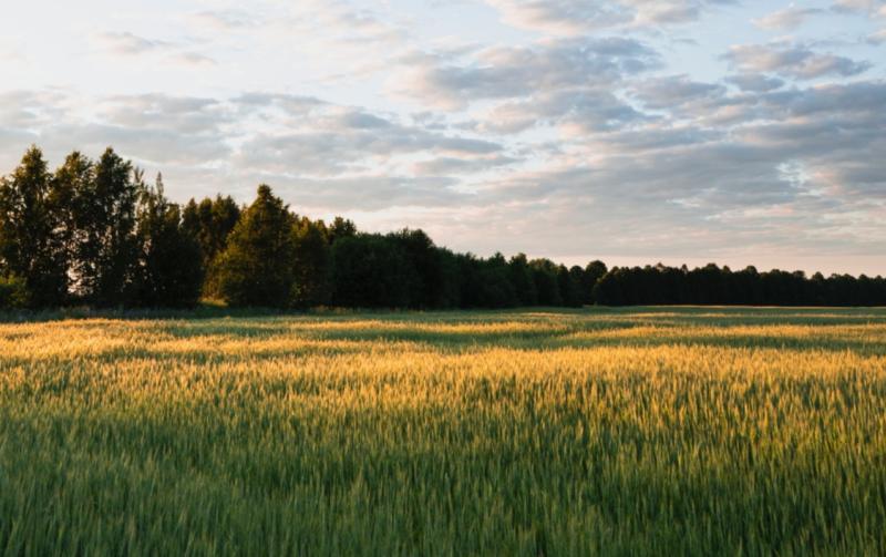 TIPPERARY STORIES: The judging, the hoult and the craic!