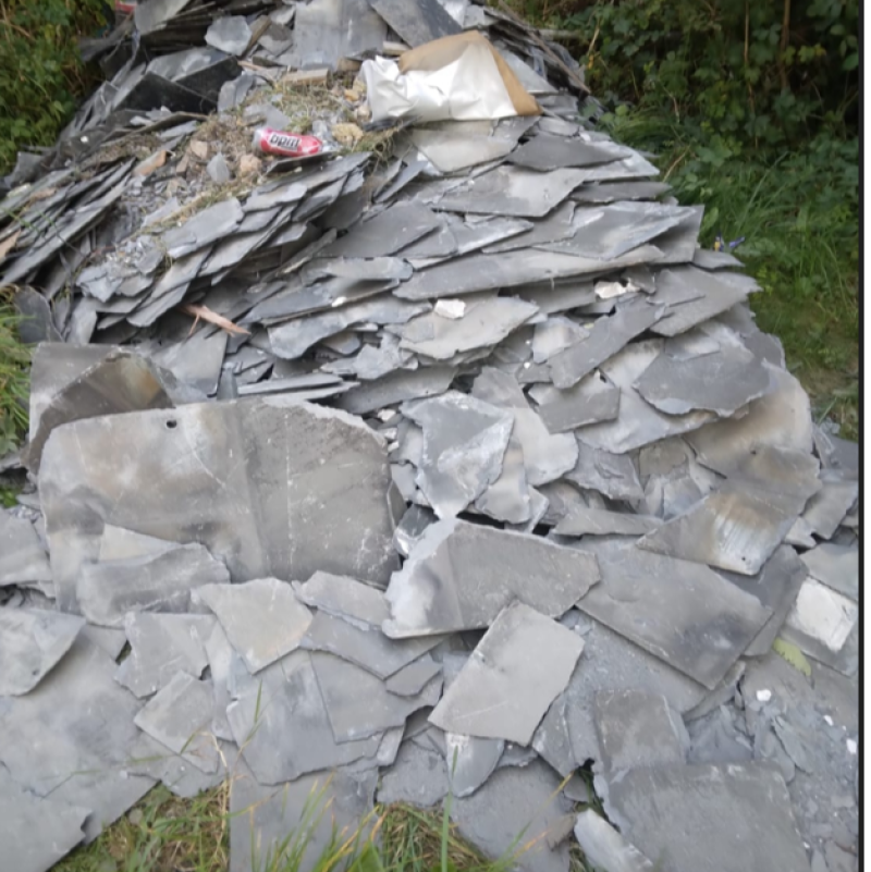 What appears to have been a trailer load of construction waste was illegally dumped in a scenic area of Durrow yesterday 