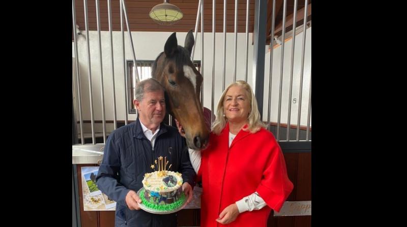 Birthday bash for legendary Limerick horse
