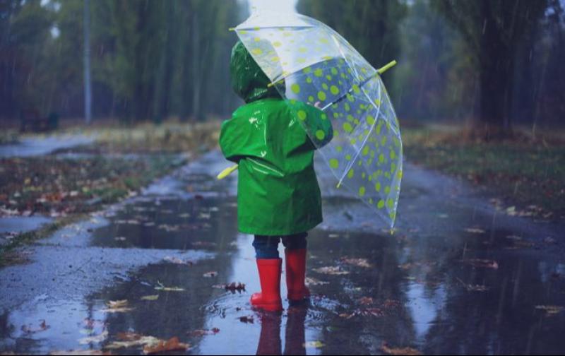WEATHER:  'Bright spells and heavy showers to follow as Carlow Weather man gives updates