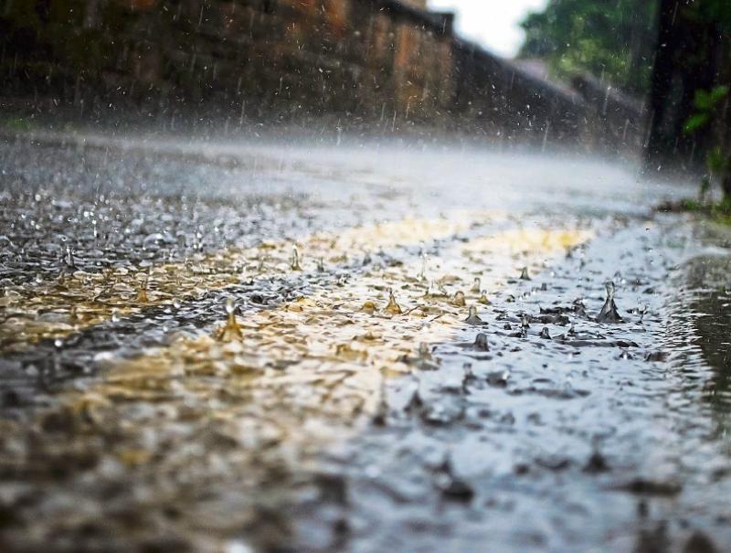 'Dull damp day ahead' Carlow Weatherman provides update on Carlow weather 