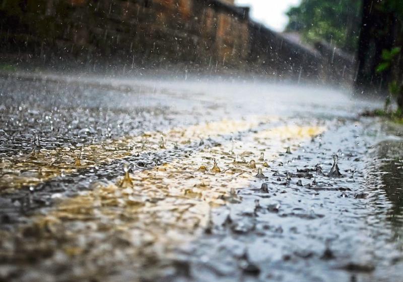 WEATHER: 'Outbreaks of rain and drizzle' A wet day ahead on Carlow' daily forecast
