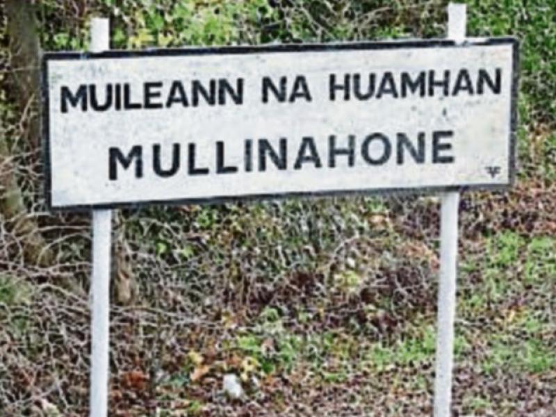 Little Village Festival Mullinahone