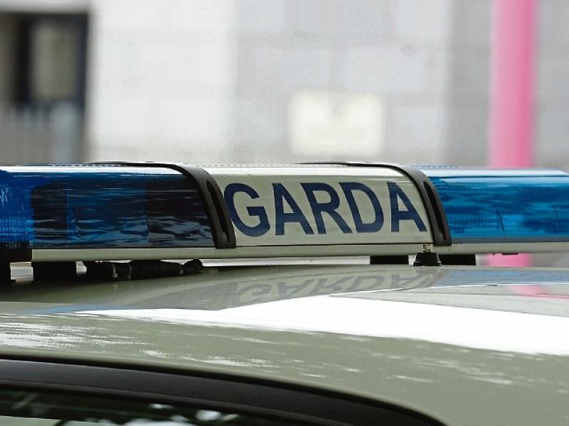 Gardai appeal for witnesses after house shot up in Limerick village